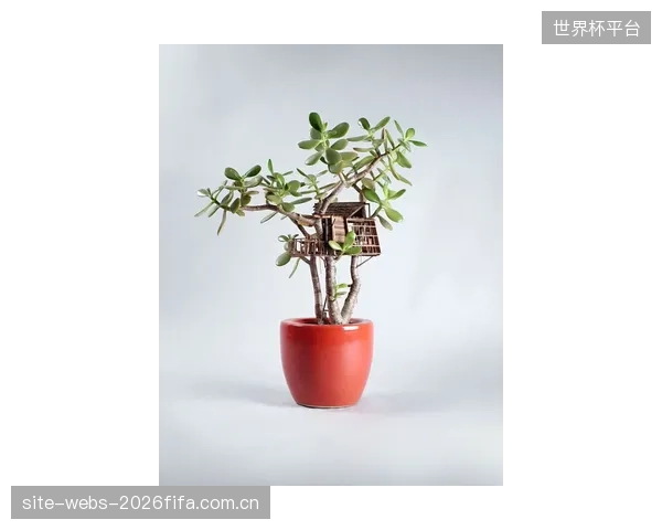 打通不同品牌运动设备间的数据壁垒，是动态定价模型从“盆景”走向“森林”的关键一步